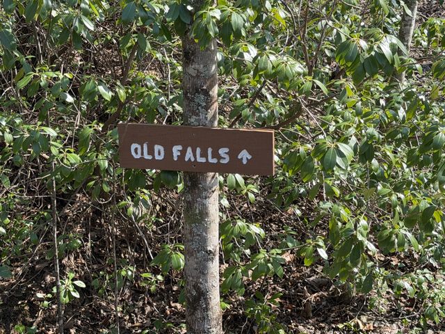 0 Bridal Veil South, Monteagle, TN 37356