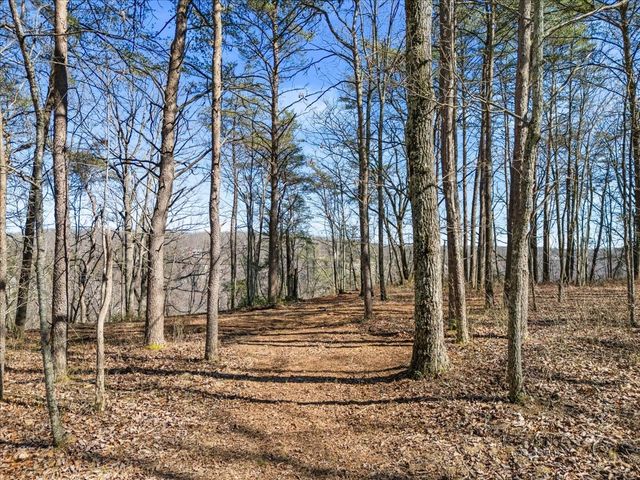 0 Bridal Veil South, Monteagle, TN 37356