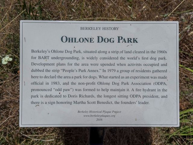 1436 1436 Delaware St, Berkeley, CA 94702