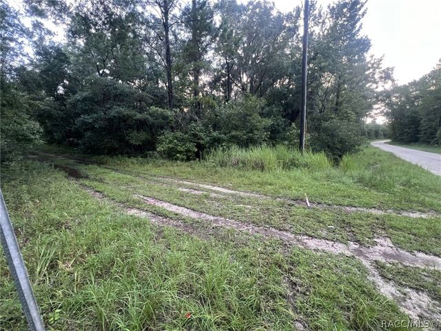 14186 Rosy Gull Avenue, Weeki Wachee, FL 34614