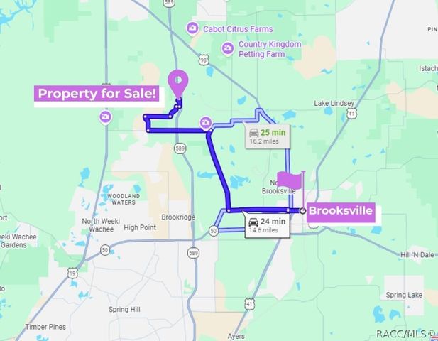 14186 Rosy Gull Avenue, Weeki Wachee, FL 34614