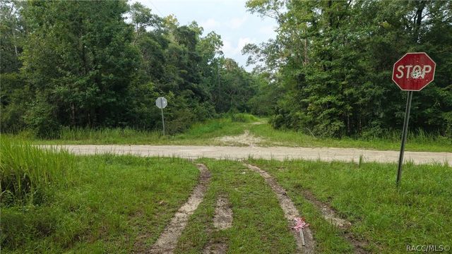 14186 Rosy Gull Avenue, Weeki Wachee, FL 34614