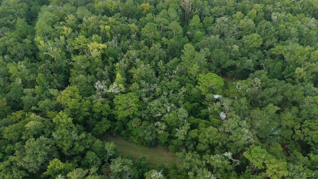 14186 Rosy Gull Avenue, Weeki Wachee, FL 34614