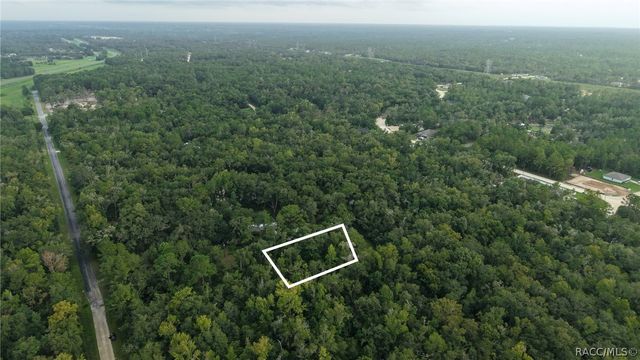 14186 Rosy Gull Avenue, Weeki Wachee, FL 34614