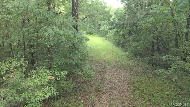 14186 Rosy Gull Avenue, Weeki Wachee, FL 34614