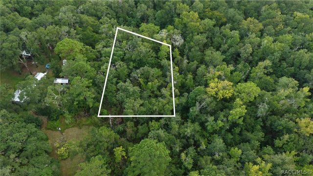 14186 Rosy Gull Avenue, Weeki Wachee, FL 34614
