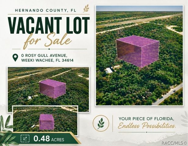14186 Rosy Gull Avenue, Weeki Wachee, FL 34614