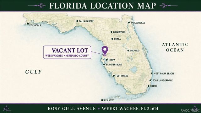 14186 Rosy Gull Avenue, Weeki Wachee, FL 34614
