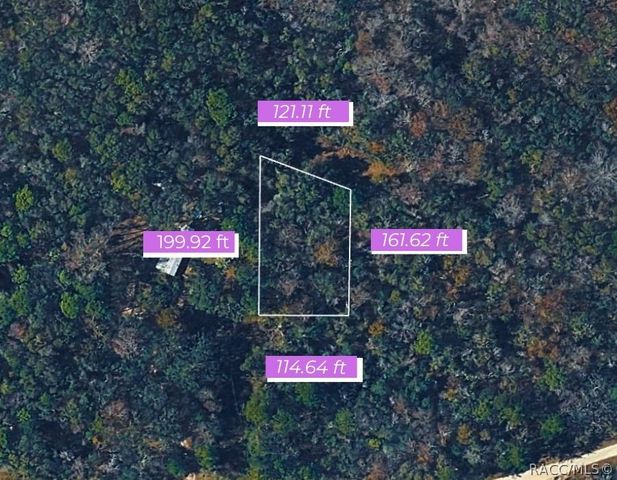 14186 Rosy Gull Avenue, Weeki Wachee, FL 34614