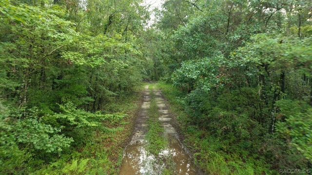 14186 Rosy Gull Avenue, Weeki Wachee, FL 34614