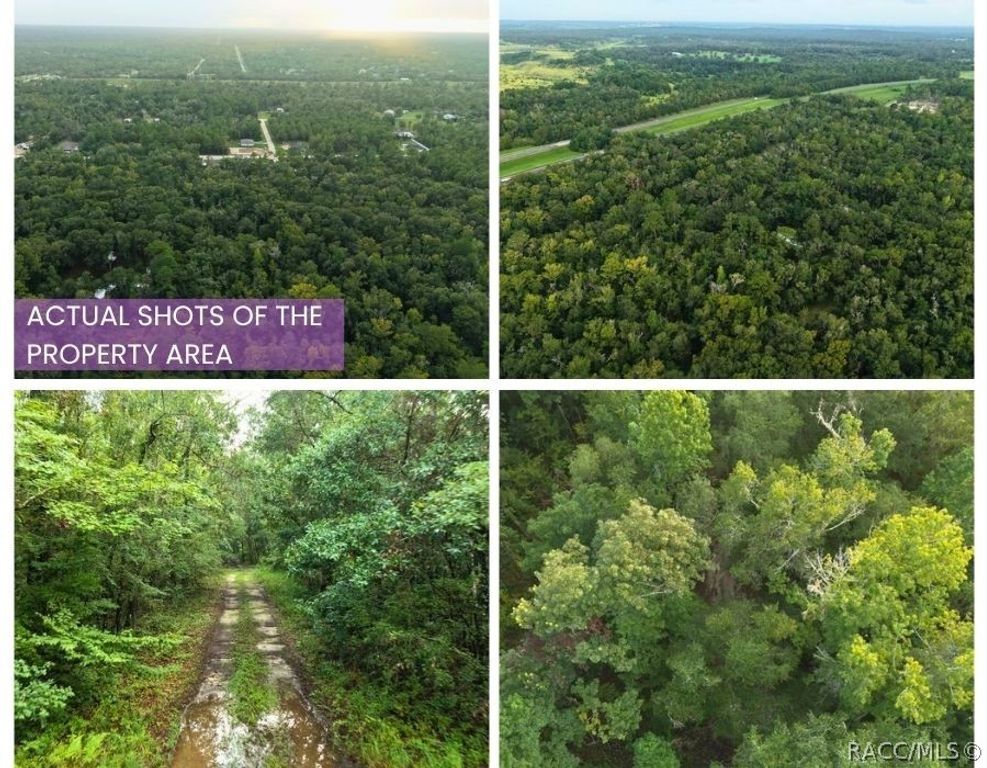 14186 Rosy Gull Avenue, Weeki Wachee, FL 34614