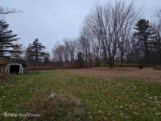 8832 Ormes Road, Vassar, MI 48768