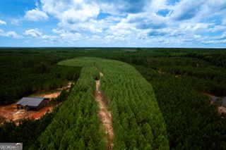 375 Bagley, Forsyth, GA 31029