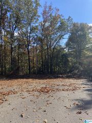 1700 STAGECOACH CIRCLE, Birmingham, AL 35215