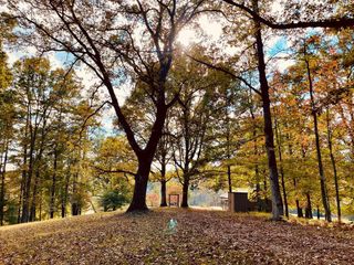 1030 Macedonia Church Road, Blue Ridge, GA 30513