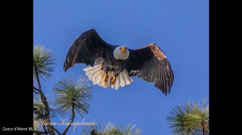 190 W EAGLE CREST DR, Coeur d'Alene, ID 83814 photo 49
