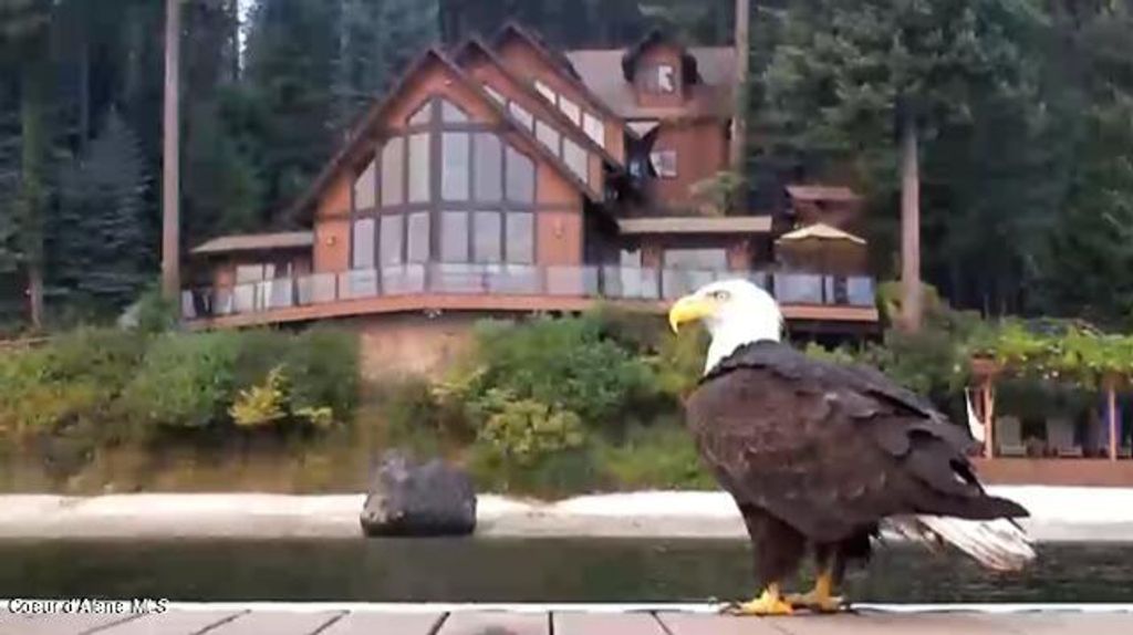 190 W EAGLE CREST DR, Coeur d'Alene, ID 83814 photo 6