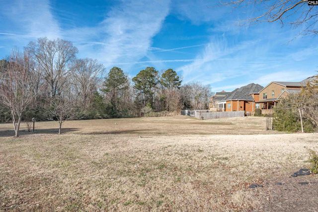 812 Village Well, Chapin, SC 29036