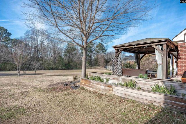 812 Village Well, Chapin, SC 29036