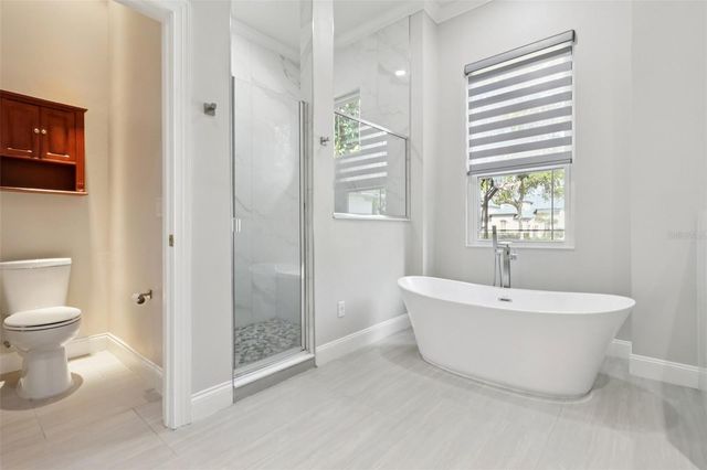 11608 CLAYMONT CIRCLE, Windermere, FL 34786