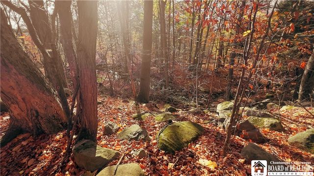 4174 Osborne Road, Pomfret, NY 14063