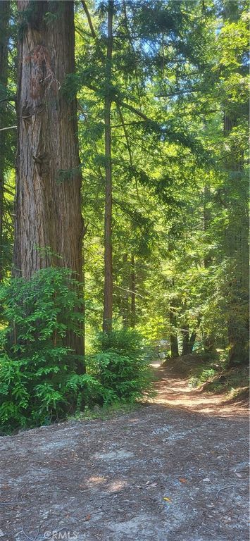 Image 1 of property listing at 0 Palm Cutof, Boulder Creek, CA 95006
