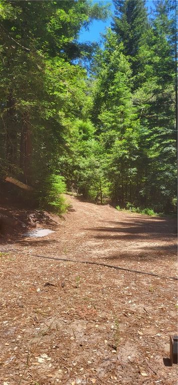 Image 2 of property listing at 0 Palm Cutof, Boulder Creek, CA 95006