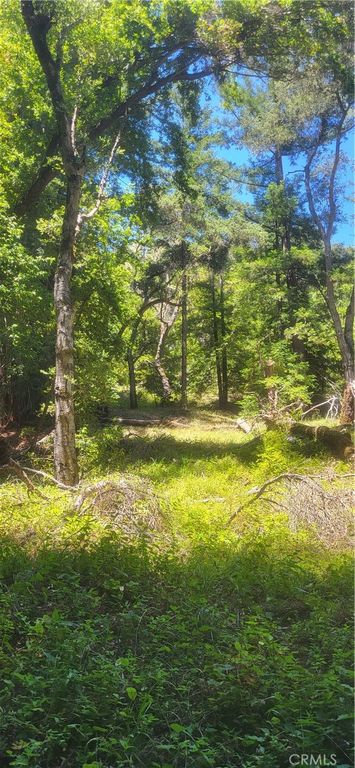Image 3 of property listing at 0 Palm Cutof, Boulder Creek, CA 95006