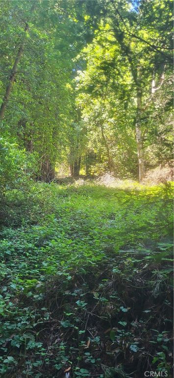 Image 5 of property listing at 0 Palm Cutof, Boulder Creek, CA 95006