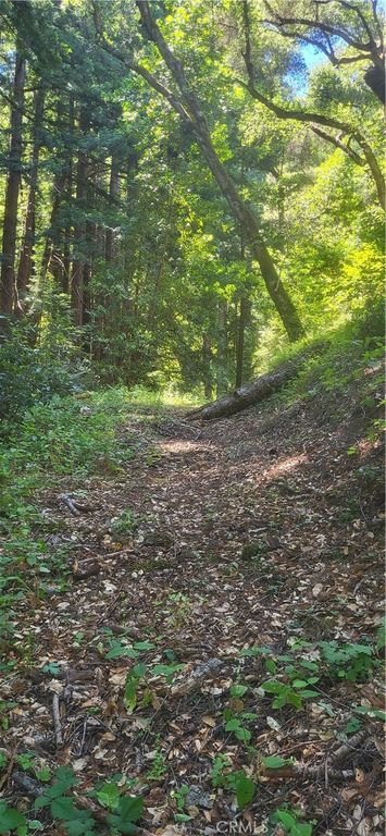 Image 6 of property listing at 0 Palm Cutof, Boulder Creek, CA 95006