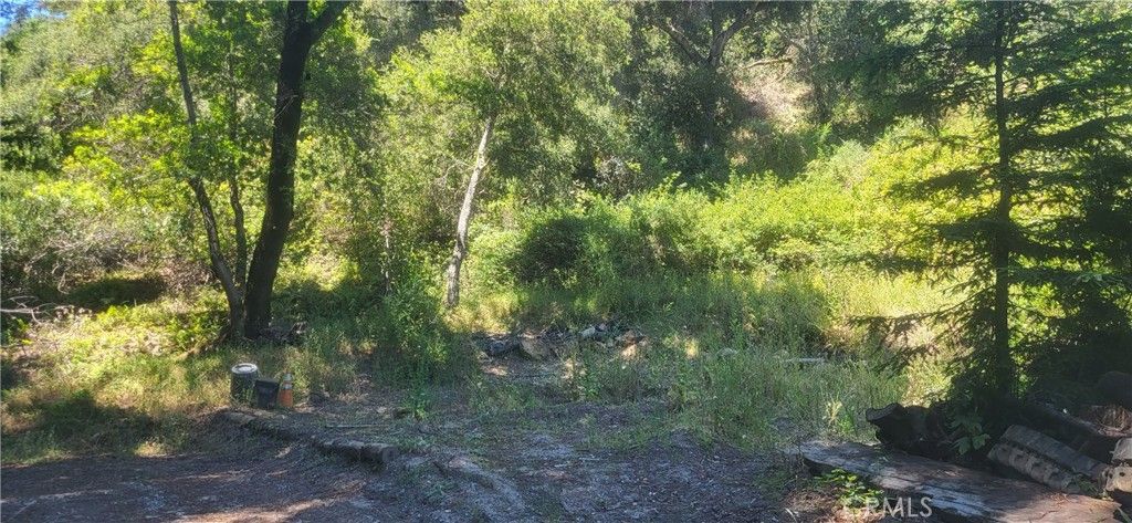 Image 7 of property listing at 0 Palm Cutof, Boulder Creek, CA 95006