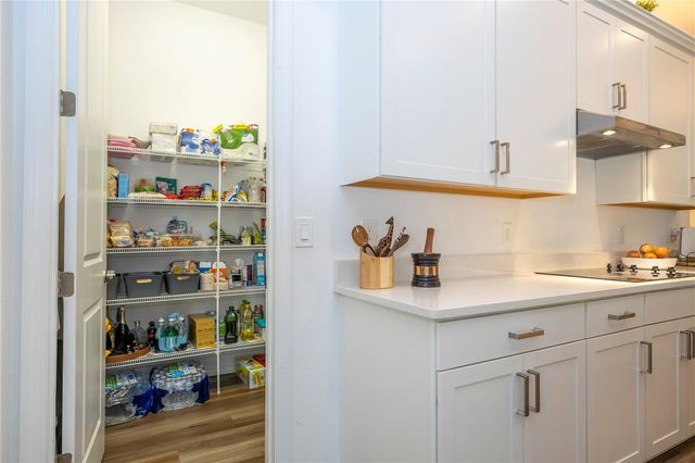 10551 PETRILLO WAY, Winter Garden, FL 34787