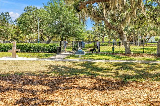 13229 ORCA SOUND DRIVE, Riverview, FL 33579