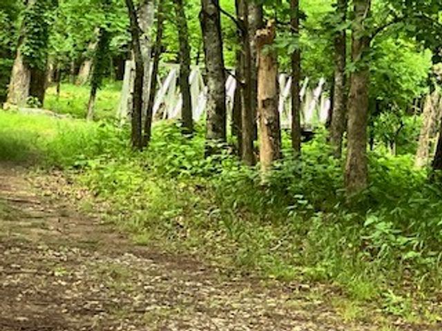 117 Brights Ln, Gallatin, TN 37066