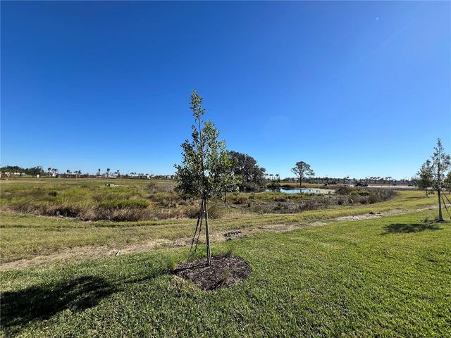 9160 AURELIA AVENUE, Parrish, FL 34219