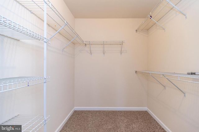 3688 CHRISTOPHER DAY RD, Doylestown, PA 18902