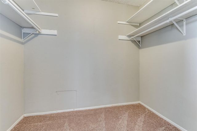 5303 Indio CV D, Austin, TX 78745