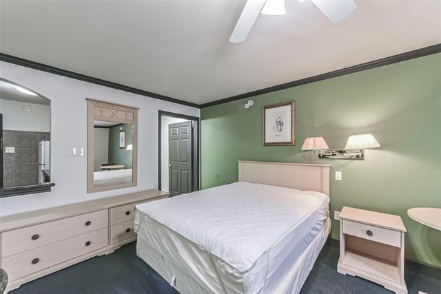 1025 Swanson Street 313, Houston, TX 77030