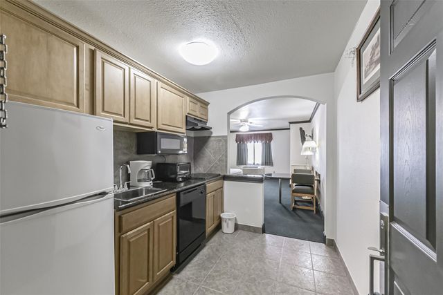 1025 Swanson Street 313, Houston, TX 77030