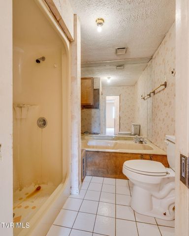 1556 Mill Creek Road, Fall Branch, TN 37656