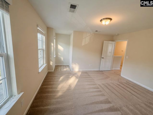 801 Kimsey Drive, Chapin, SC 29036