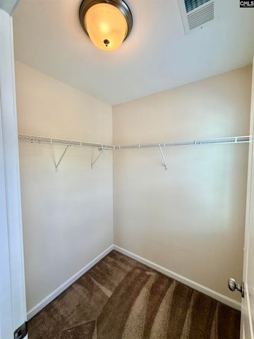 801 Kimsey Drive, Chapin, SC 29036