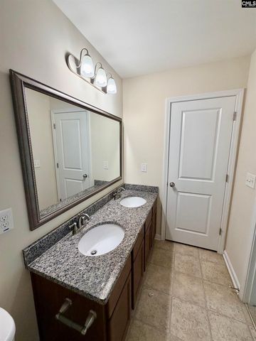 801 Kimsey Drive, Chapin, SC 29036