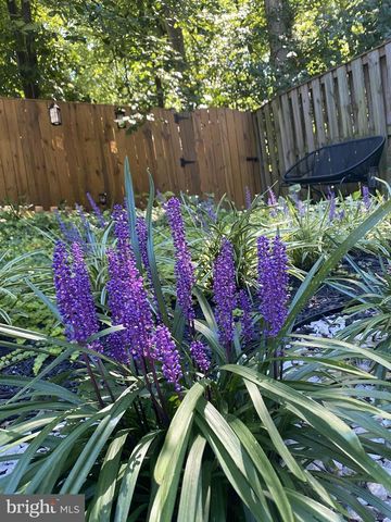 17121 BRIARDALE RD, Rockville, MD 20855