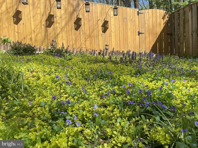 17121 BRIARDALE RD, Rockville, MD 20855