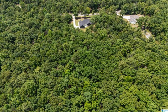 1774 HIGHWAY 331, Columbiana, AL 35051