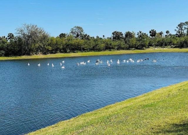 6272 BUCKET COURT, Gibsonton, FL 33534
