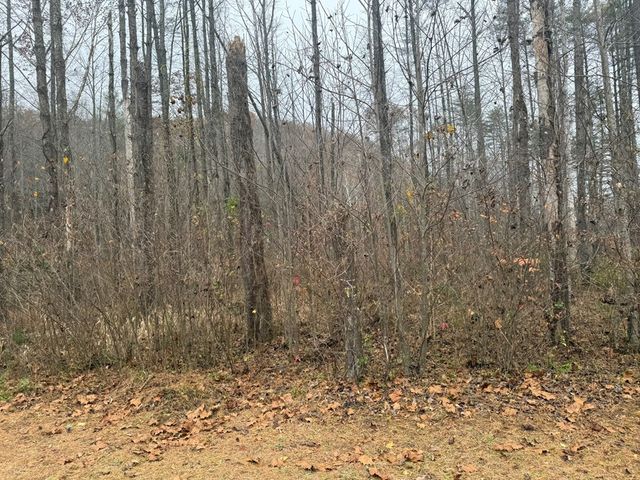 0 Rushing Water Trail, Hayesville, NC 28904