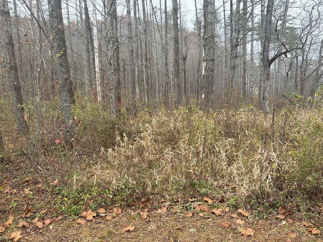 0 Rushing Water Trail, Hayesville, NC 28904