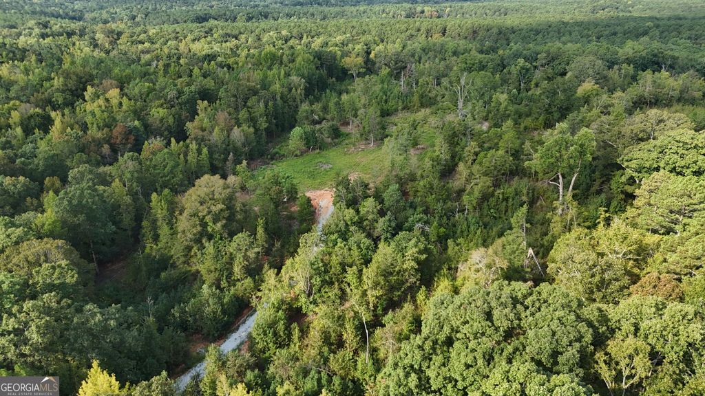 1637 G R Hayes Road, Elberton, GA 30635 — photo 5